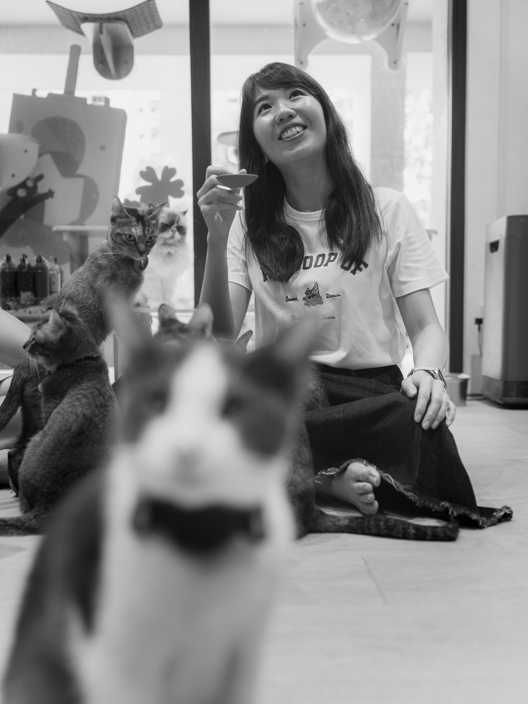 Close portrait with a cat