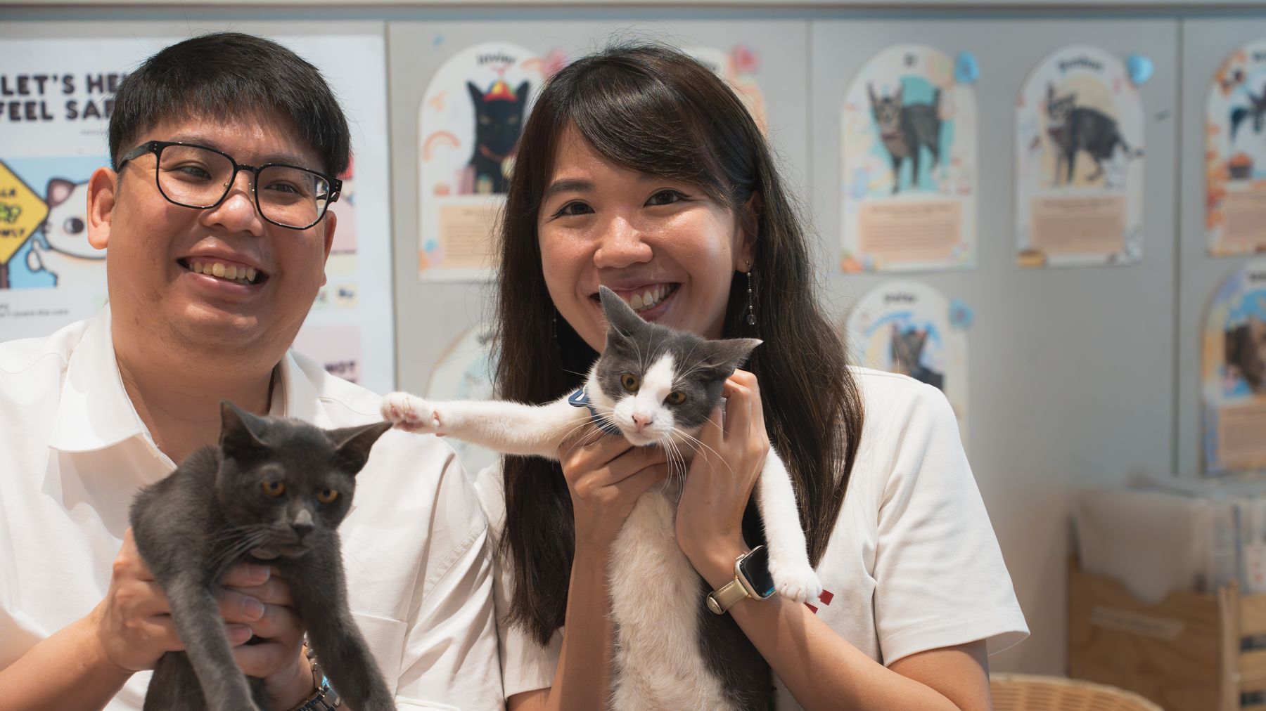 Couple laughing while holding kittens