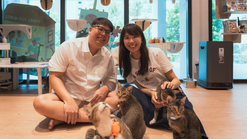 The couple seated with cats at a cat café