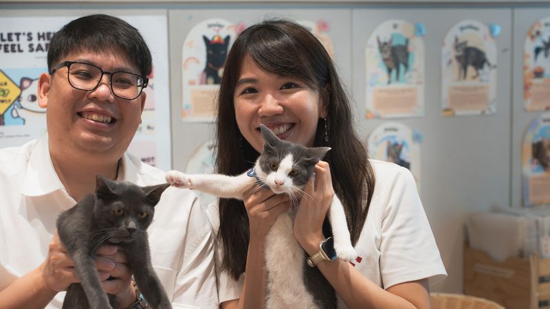 The couple laughing while holding kittens